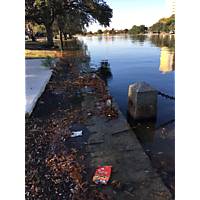 November high tide-Norfolk image